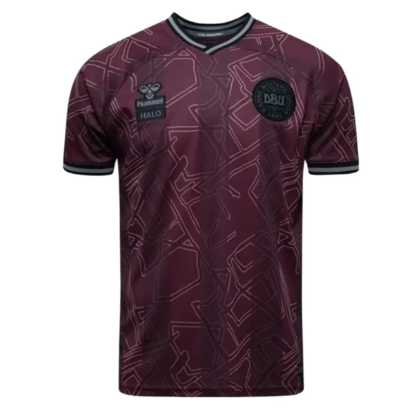2425 season Denmark home Fan version